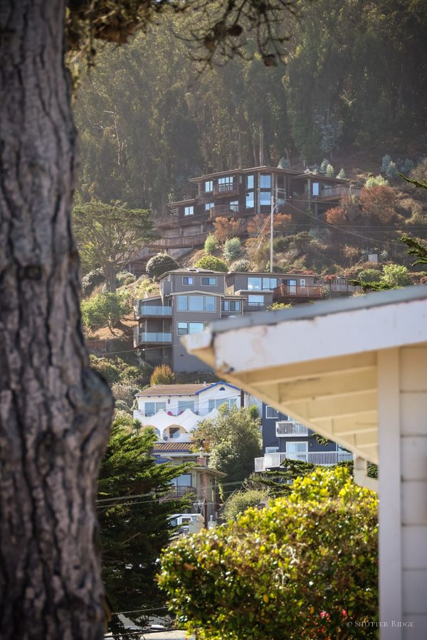 Hillside houses framed by a tree trunk and a roof corner